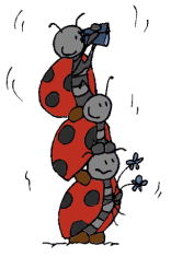 Coccinelles1 copy